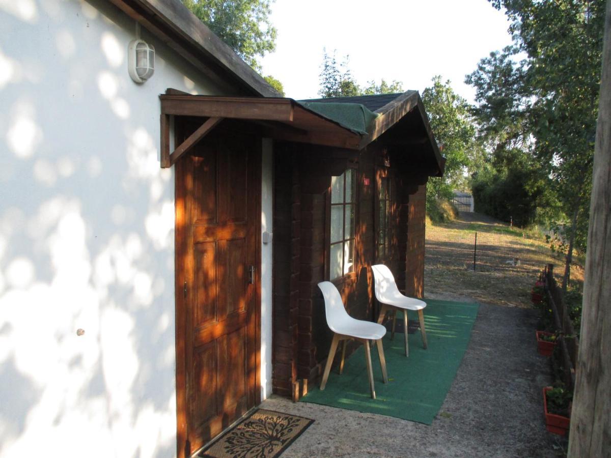 Bungalow "A Choupana" - Quinta Da Carvoica - Vale Pradinhos Vale de Pradinhos Zewnętrze zdjęcie