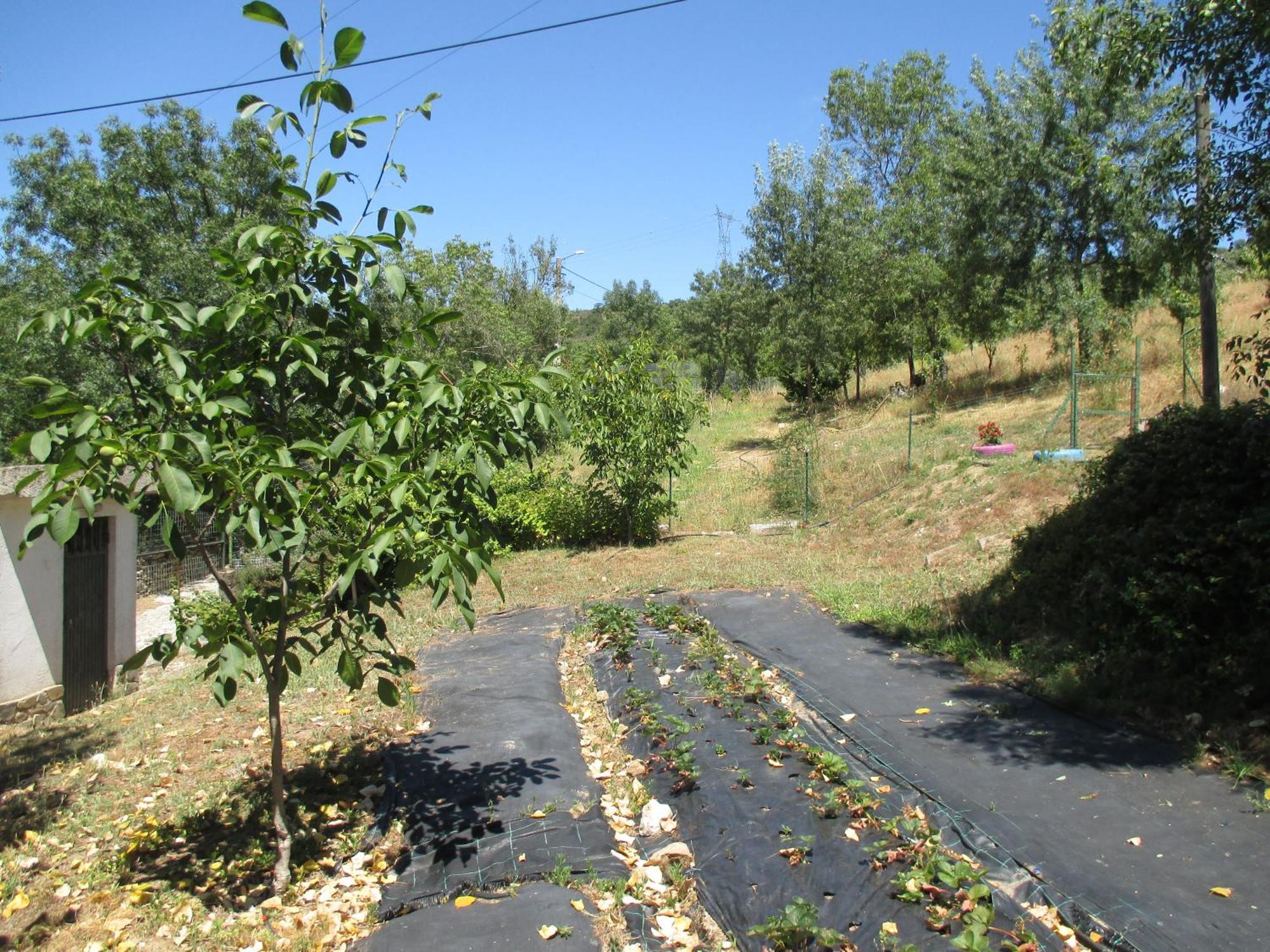 Bungalow "A Choupana" - Quinta Da Carvoica - Vale Pradinhos Vale de Pradinhos Zewnętrze zdjęcie