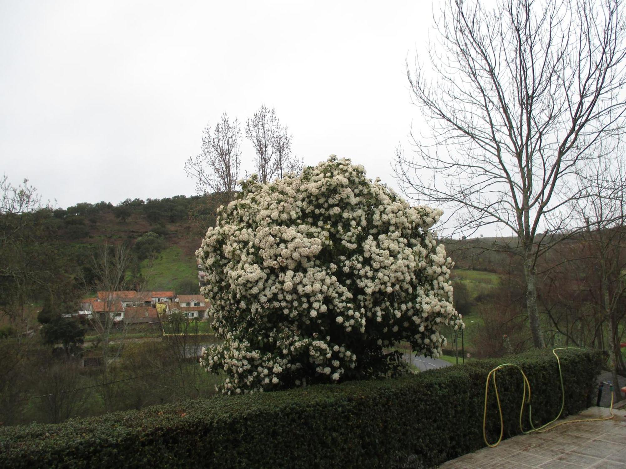 Bungalow "A Choupana" - Quinta Da Carvoica - Vale Pradinhos Vale de Pradinhos Zewnętrze zdjęcie