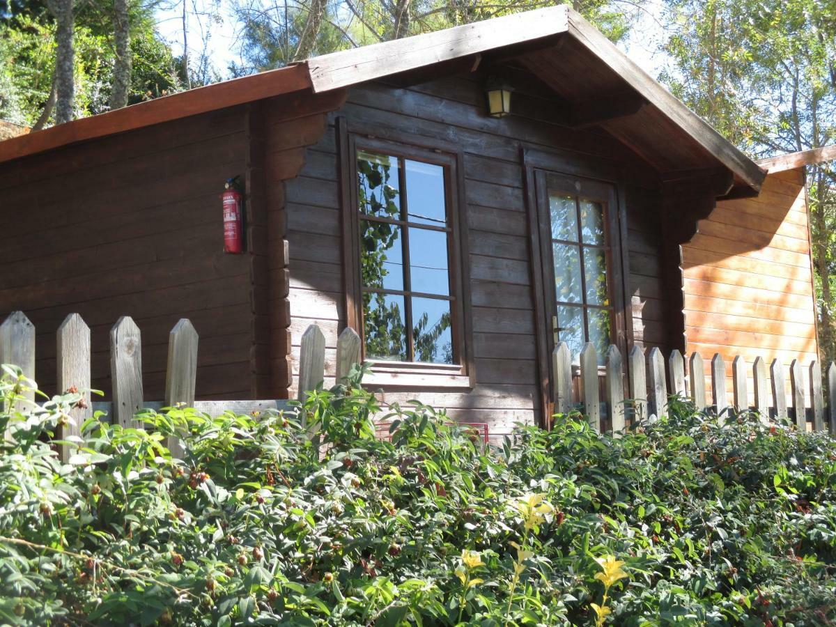 Bungalow "A Choupana" - Quinta Da Carvoica - Vale Pradinhos Vale de Pradinhos Zewnętrze zdjęcie